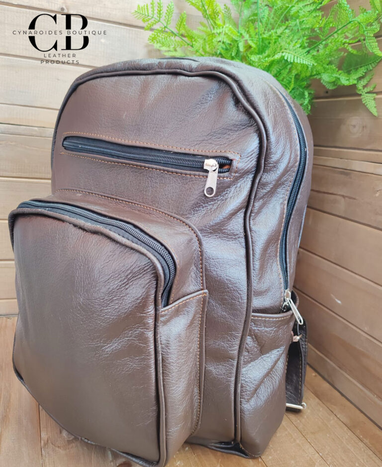 Leather Backpack